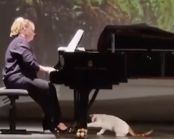 istanbul_opera_house .png